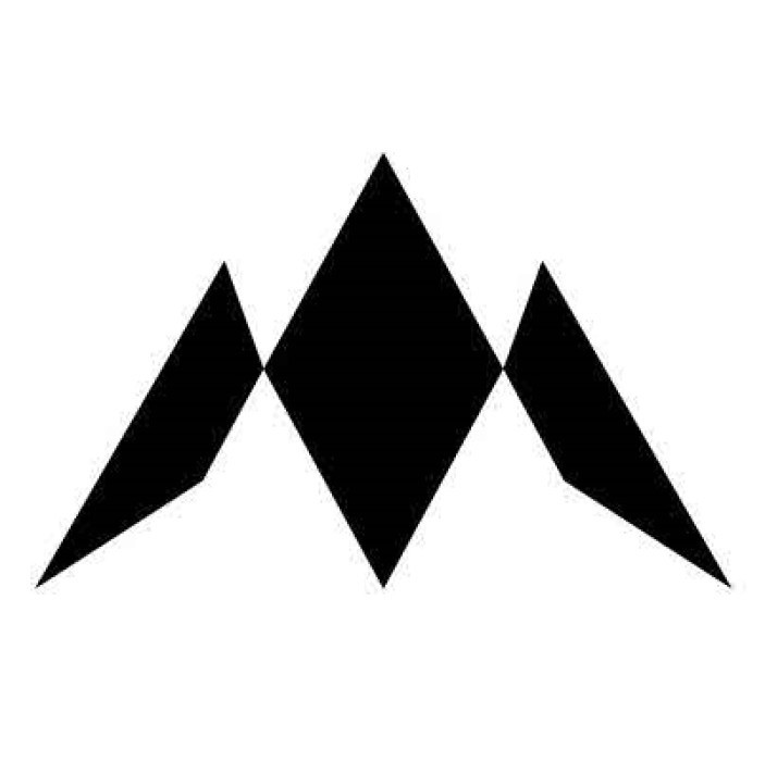 Rzutki do darta Mission Madars Razma 95% 23g