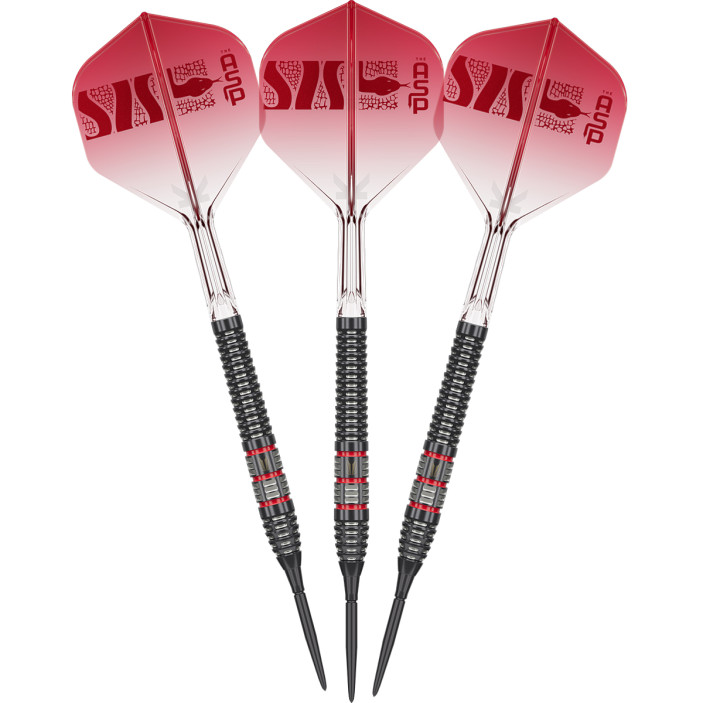 Rzutki Lotki Target Nathan Aspinall 95k 95% 26g